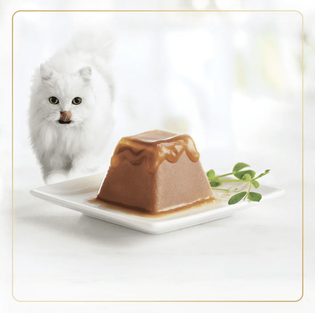 Fancy Feast cat food - useful pet products
